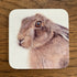 Hare Coaster