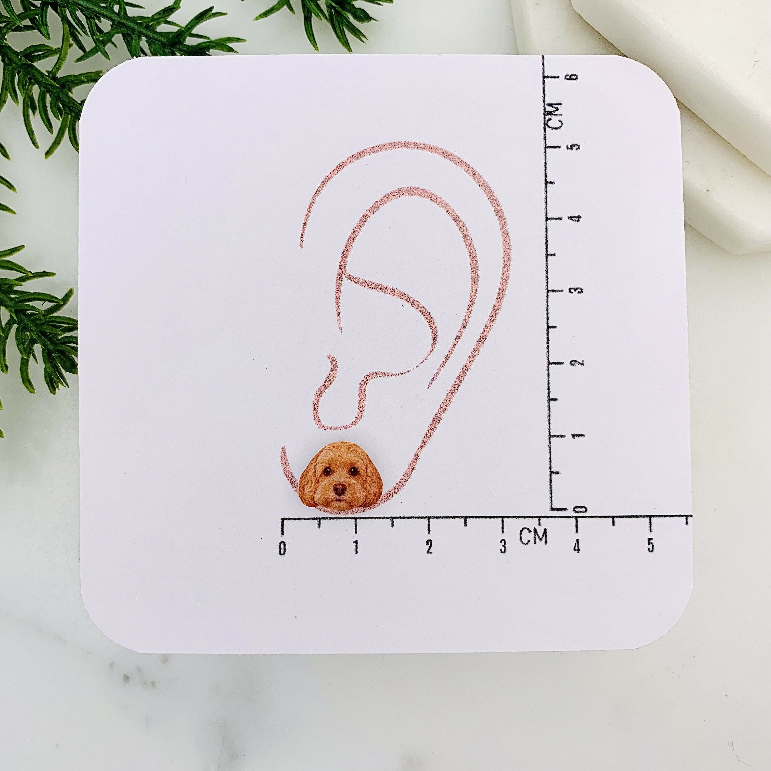 Apricot Cockapoo Dog Stud Earrings (2026)