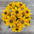 Origami Paper Sunflower