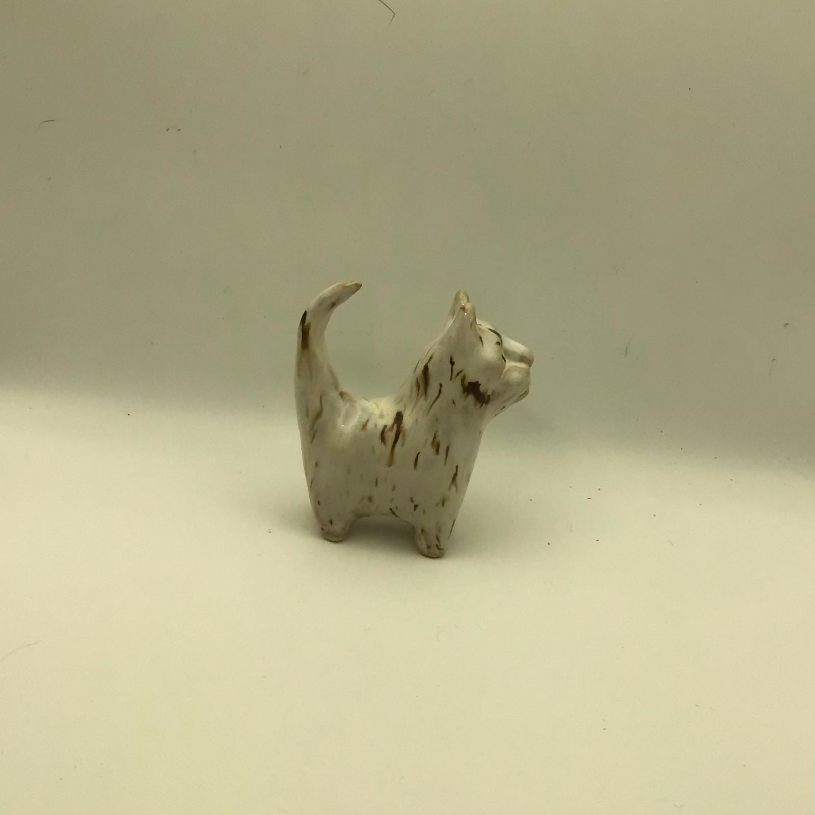 Snowfleck Cat