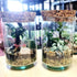 Artisan Bonsai Terrarium