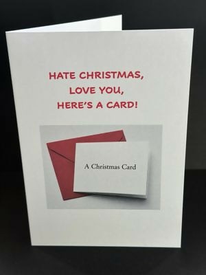 Hate Christmas, Love You