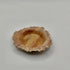 Ruffle Dish