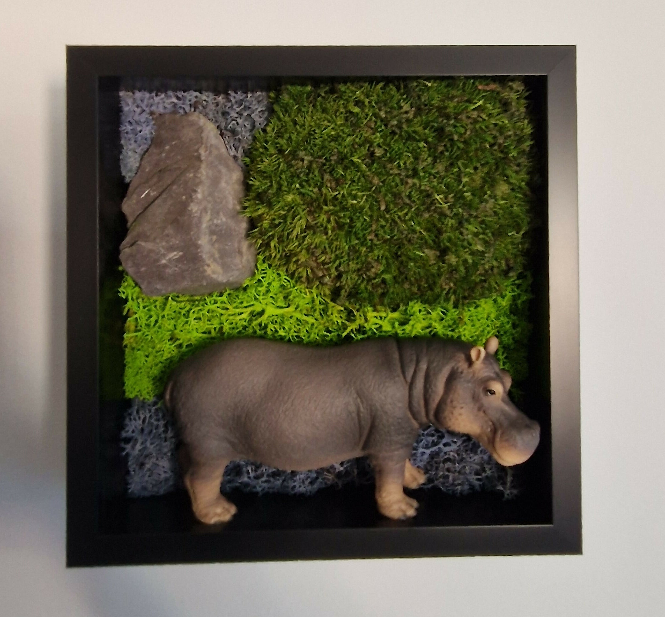 Male Hippo