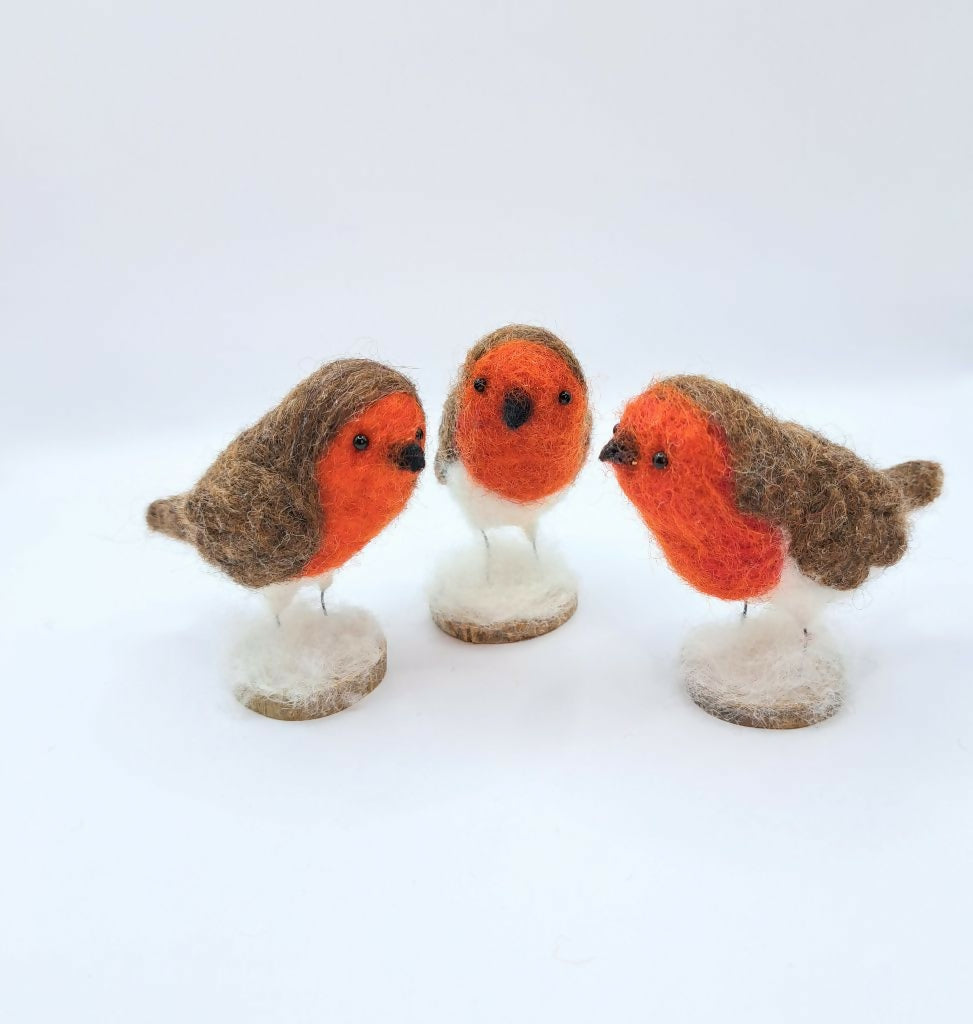 Winter Robin