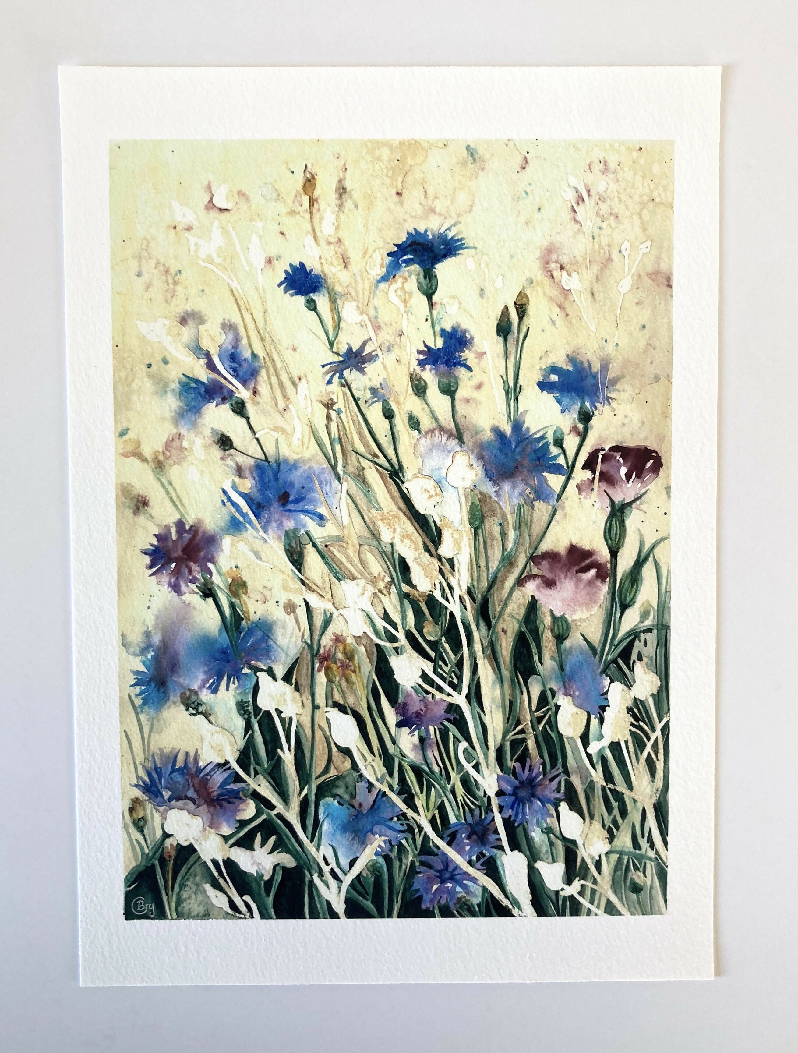 Cornflowers A4 print