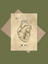 My Heart Anatomy Valentine's Greetings Card