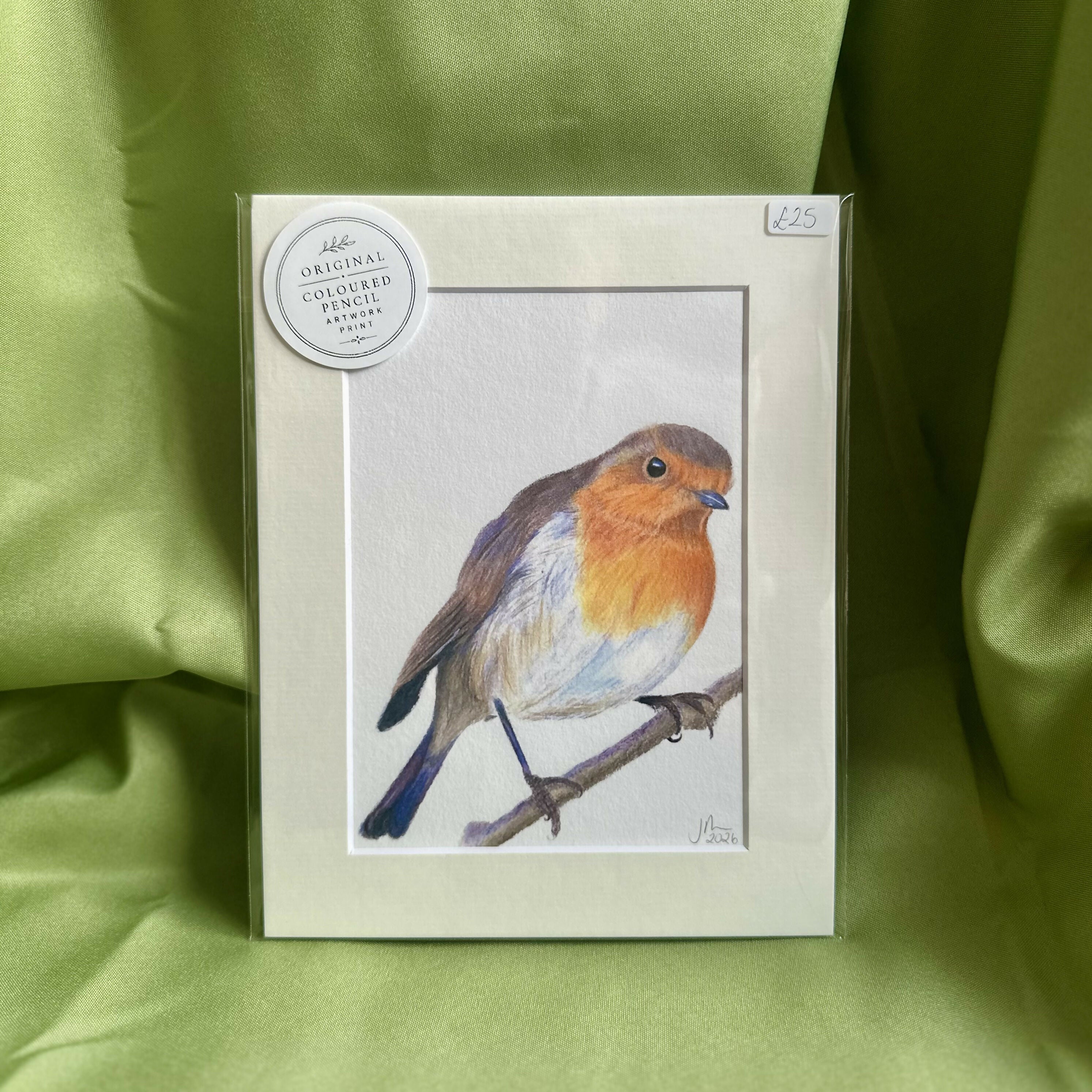 Robin Fine Art Print | Luxury Velvet Fine Art Print | Garden Bird Decor