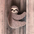 Climbing Sloth Hair Claw