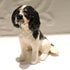 Ceramic cavalier king charles spaniel dog sculpture