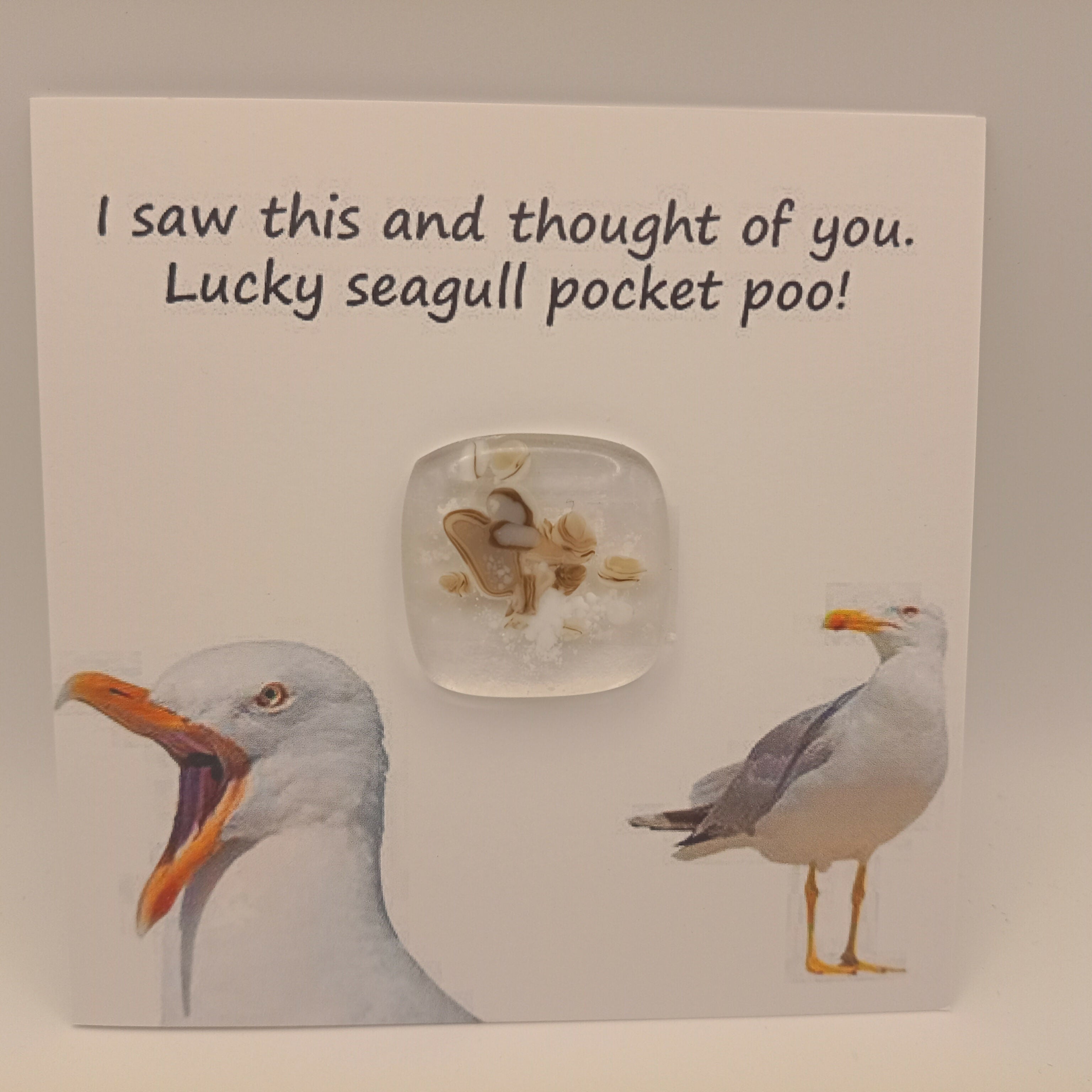 Fused Glass Pocket Poo
