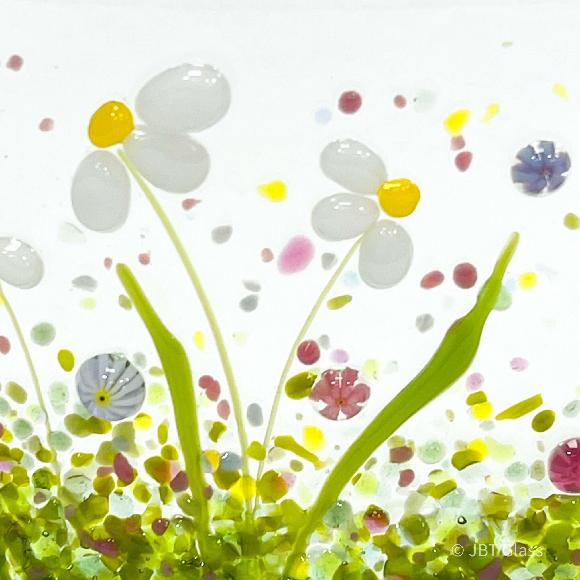 Spring Daisy LNW