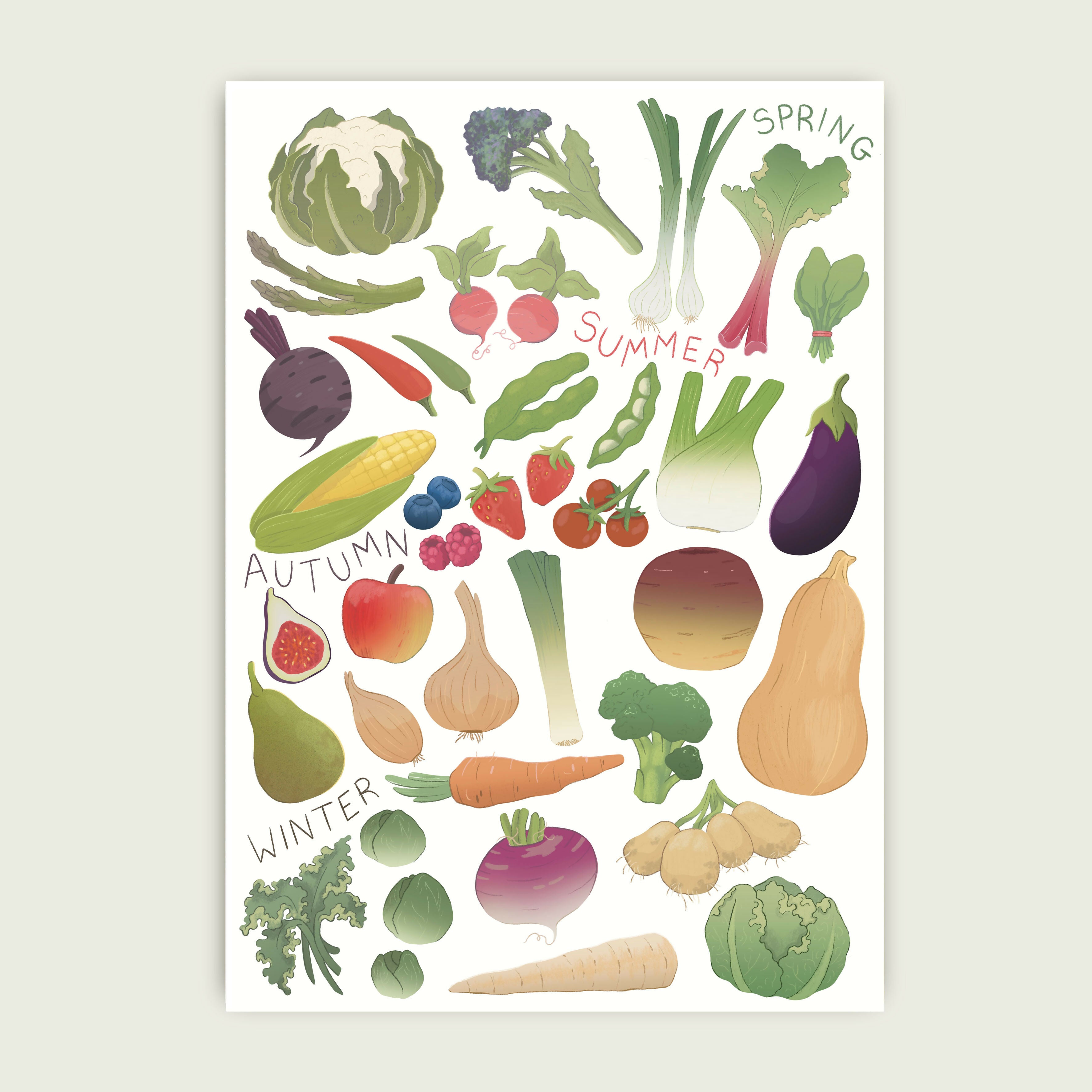 A4 Illustrated Print Of Seasonal Fruit And Vegetables
