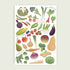 A4 Illustrated Print Of Seasonal Fruit And Vegetables