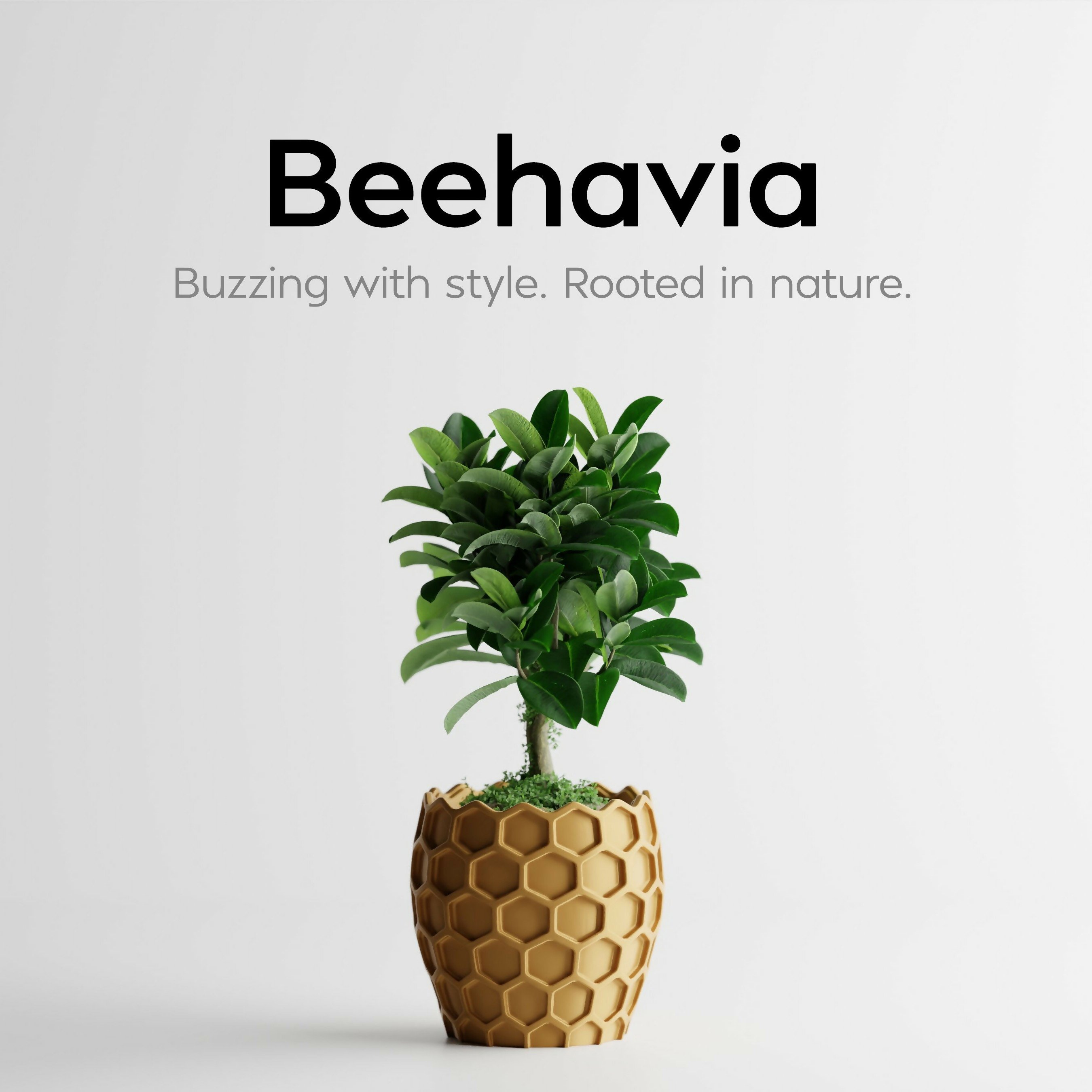 Beehavia Planter