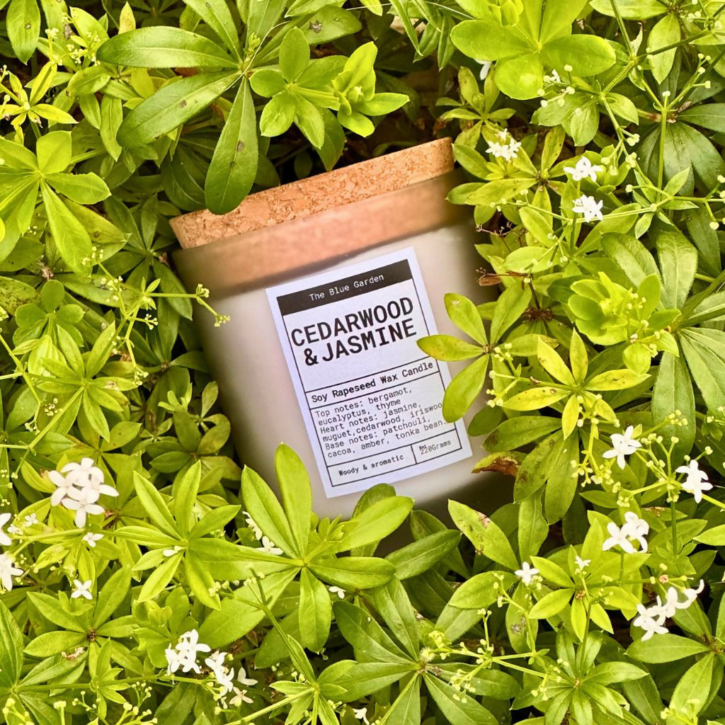 Himalayan Cedar and Jasmine | Hand-poured, Scented, Natural-wax Candle