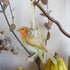 Robin and Snowdrop Hanging Wooden Decoration