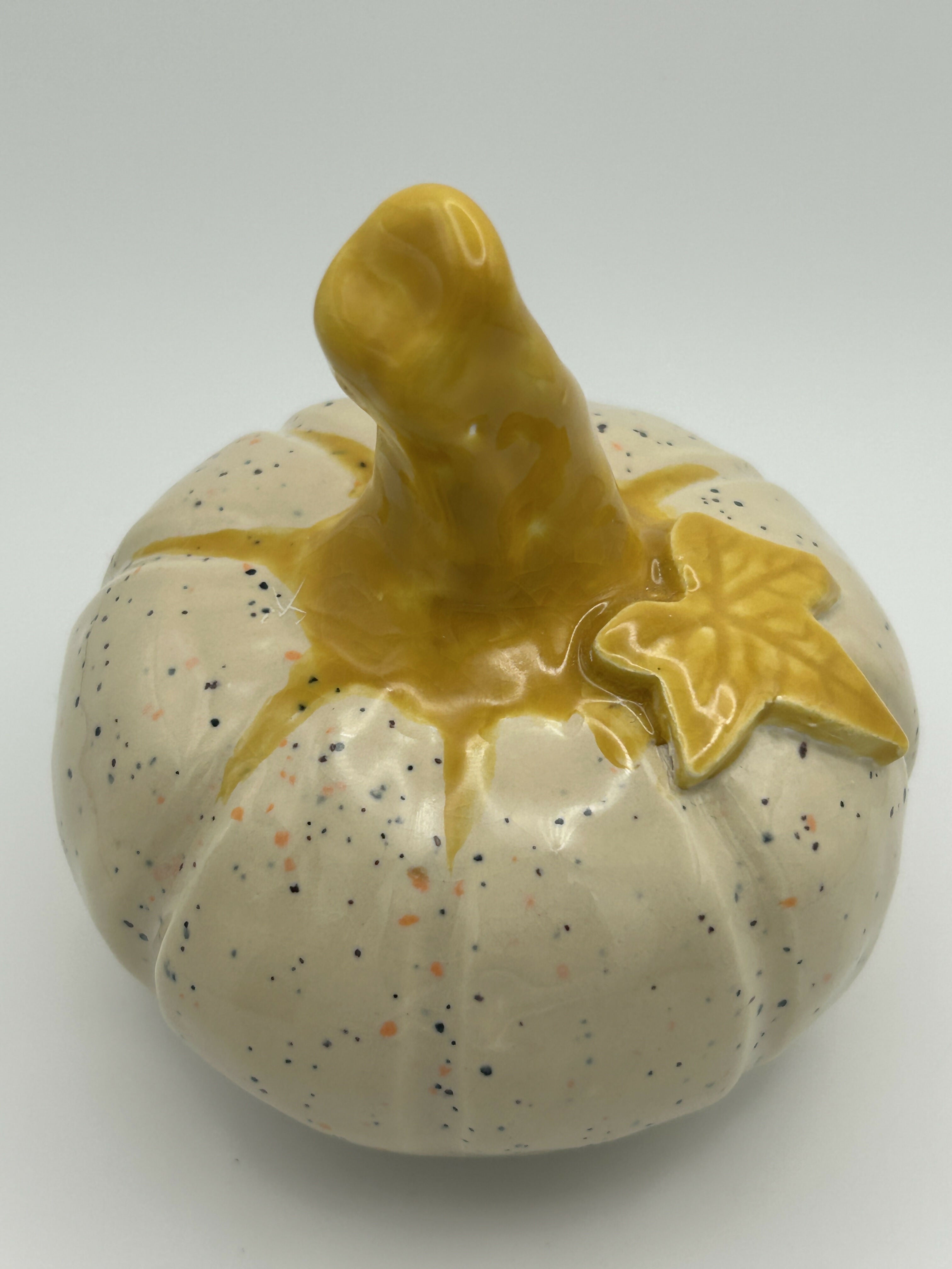 Small Speckled Pumpkin