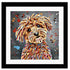 CAVAPOO COLOUR SPLASH FRAMED ARTWORK.