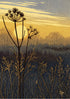 Frosty morning on Keldmarsh Greetings Card