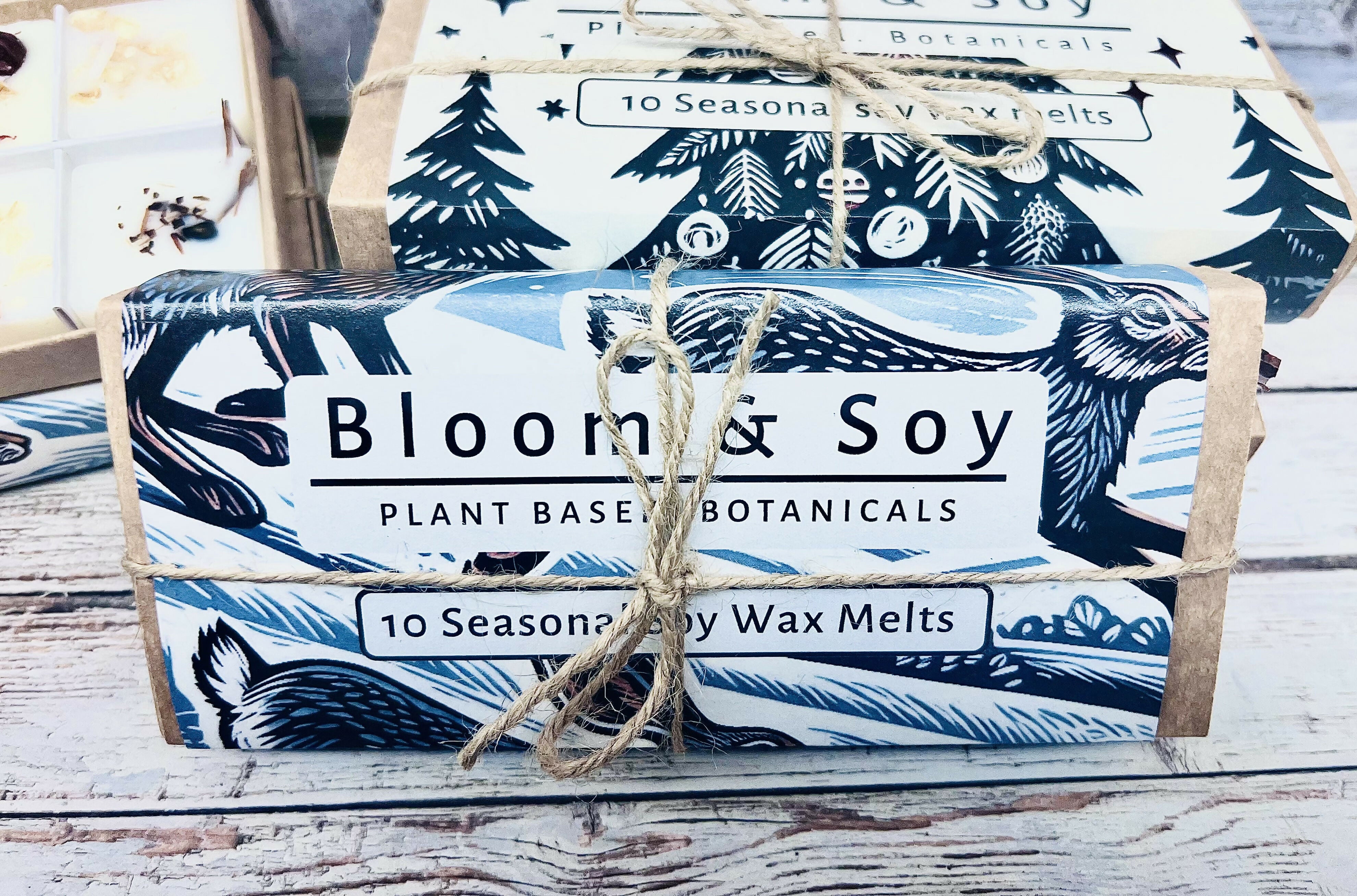 10 SEASONAL SOY WAX MELTS IN GIFT BOX