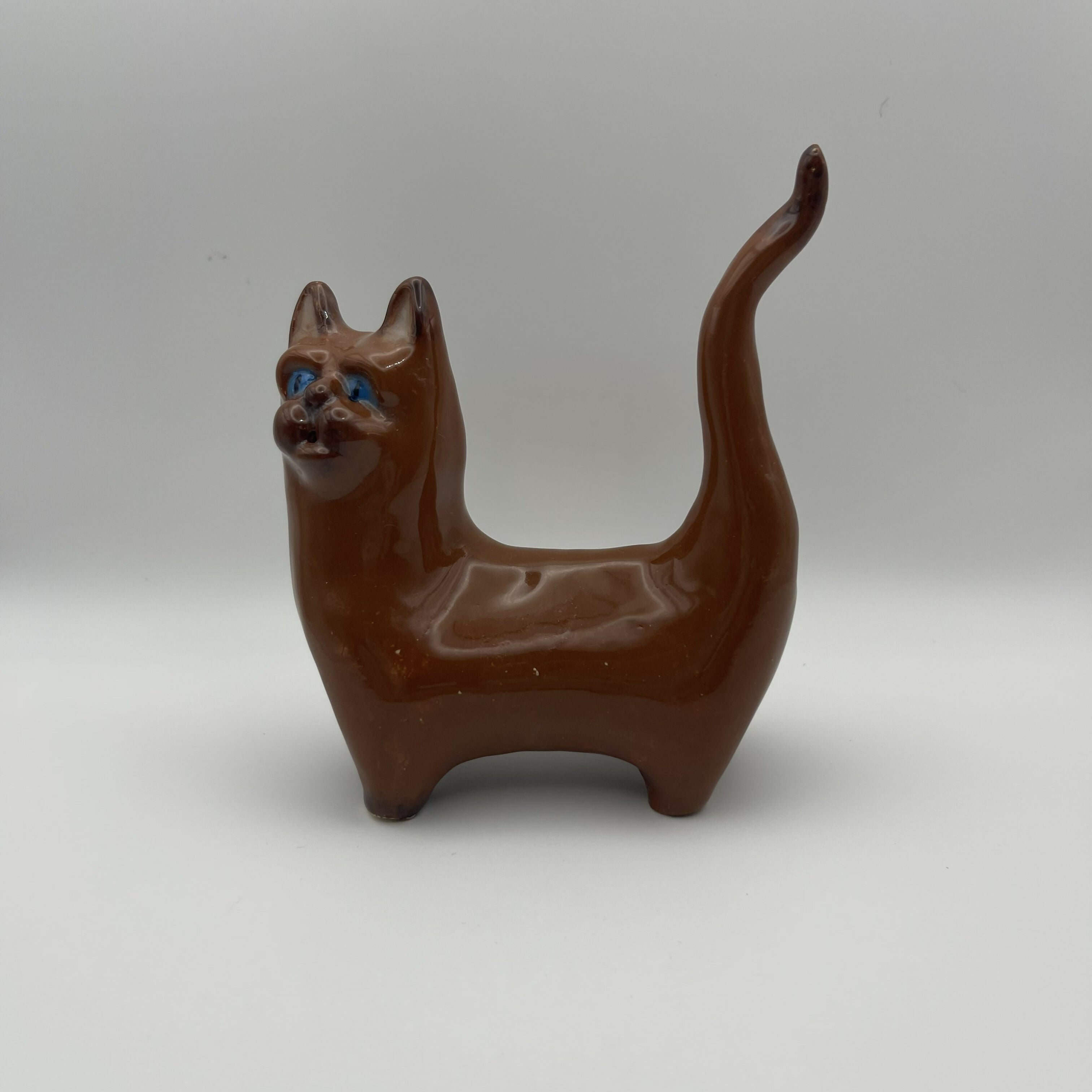 Brown Cat