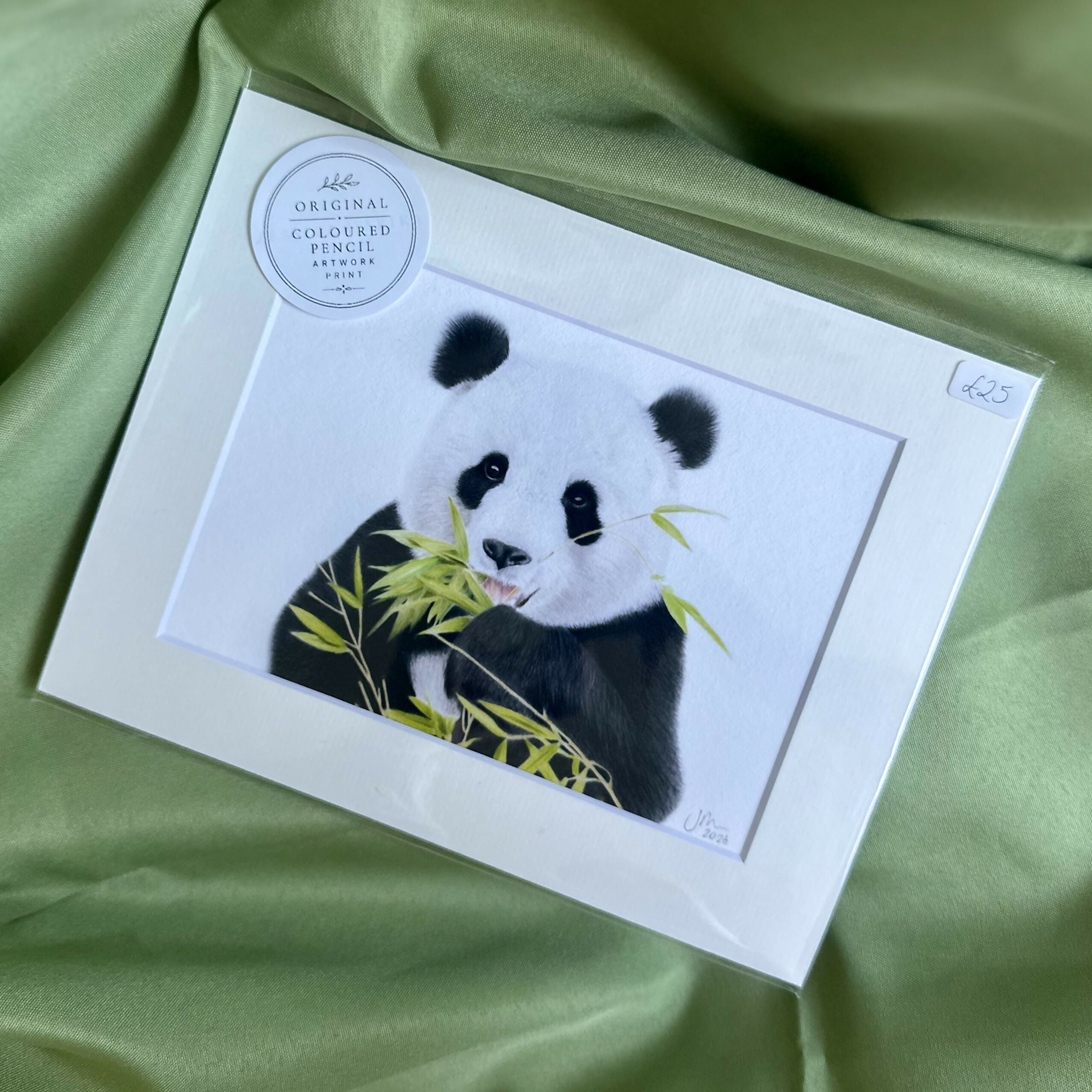 Panda Wall Art | Luxury Velvet Paper Print | Minimal Animal Illustration