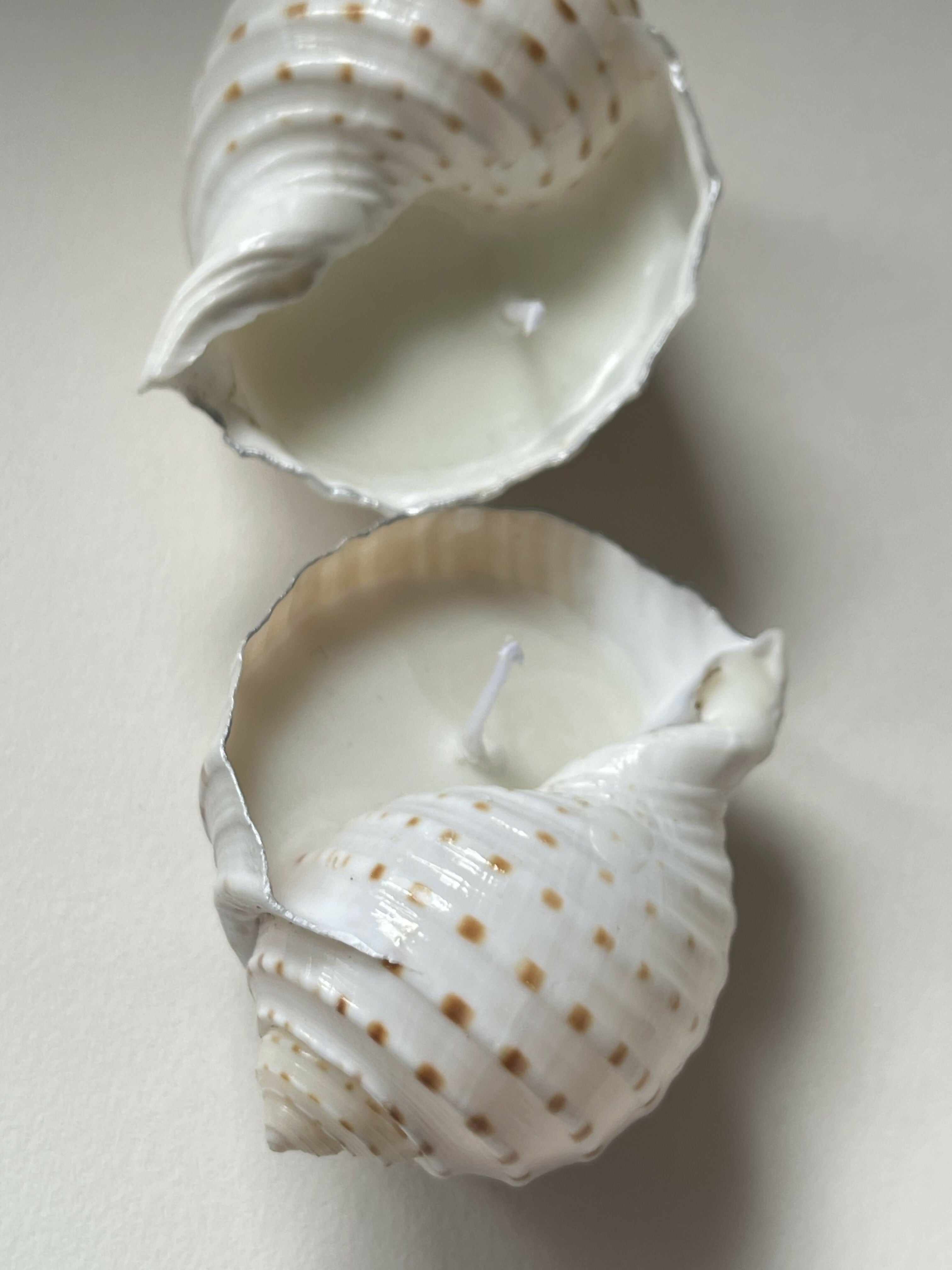 Tonna Allium Candle