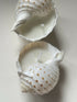 Tonna Allium Candle