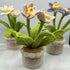 Crochet Daffodil In Scallop Edge Pot