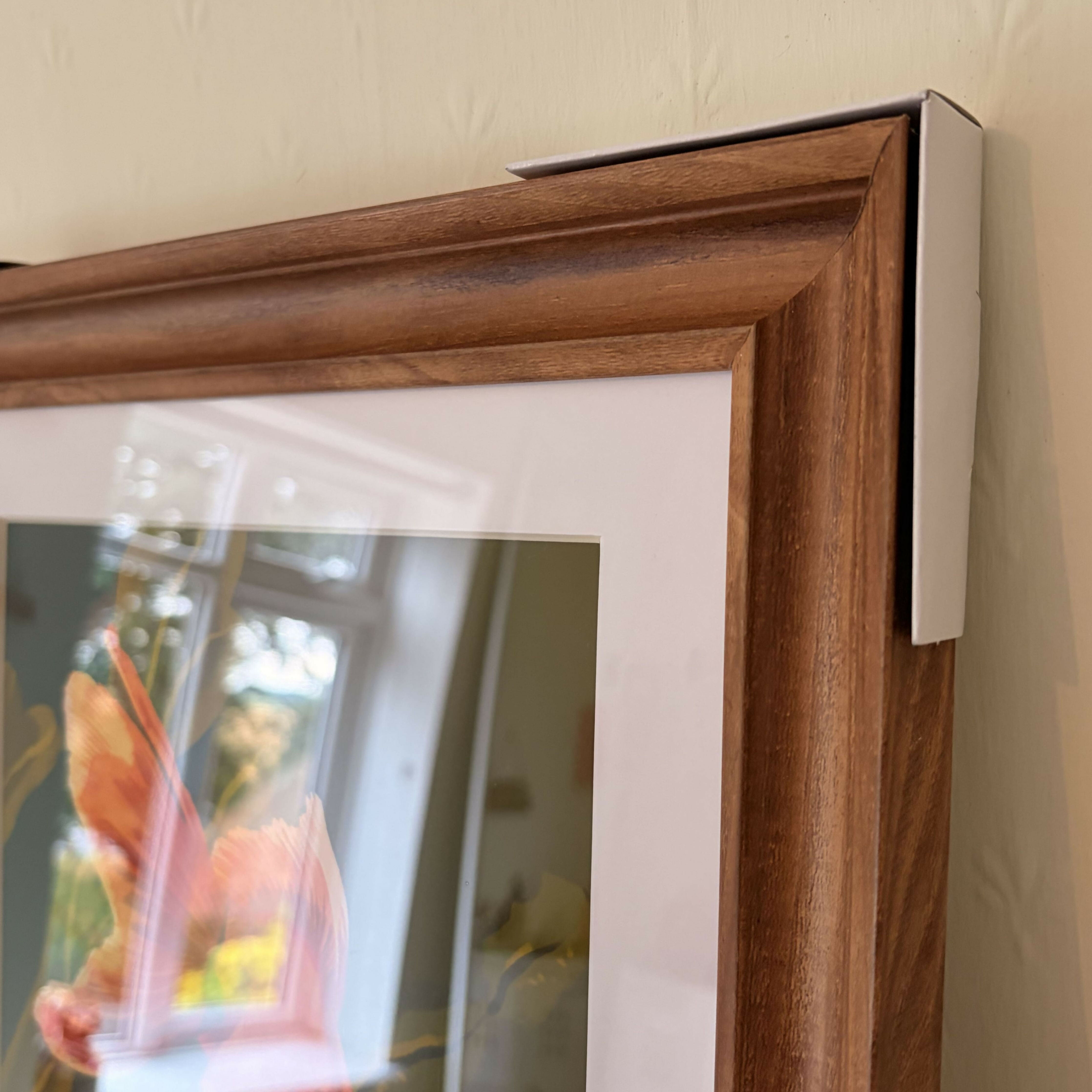 Framed Goldfish Art