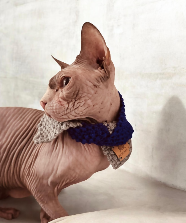 PET SCARF, STRIPY, 2-COLOUR COSY (LIGHT GREY & DARK PURPLE) FOR CAT OR SMALL DOG