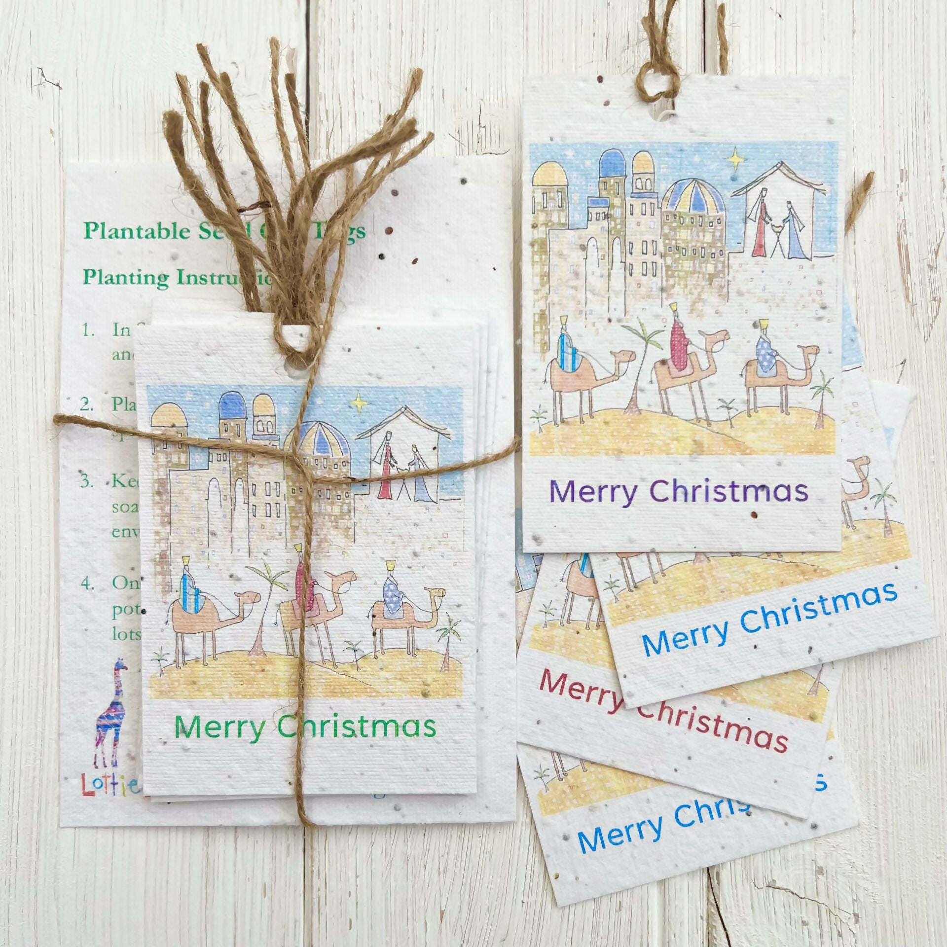 Set of ^ Christmas Seed Gift Tags - 'Following the Star'