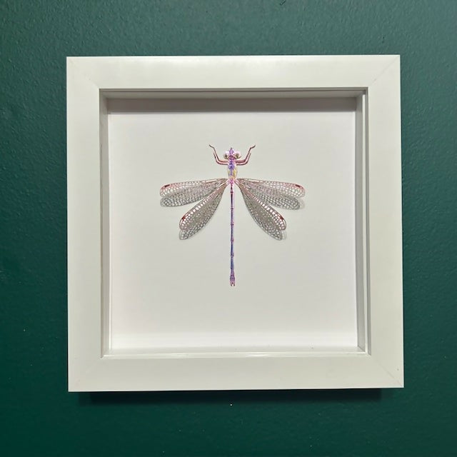 Lovely Faux Paper Pink & Purple Dragonfly In A White Box Frame