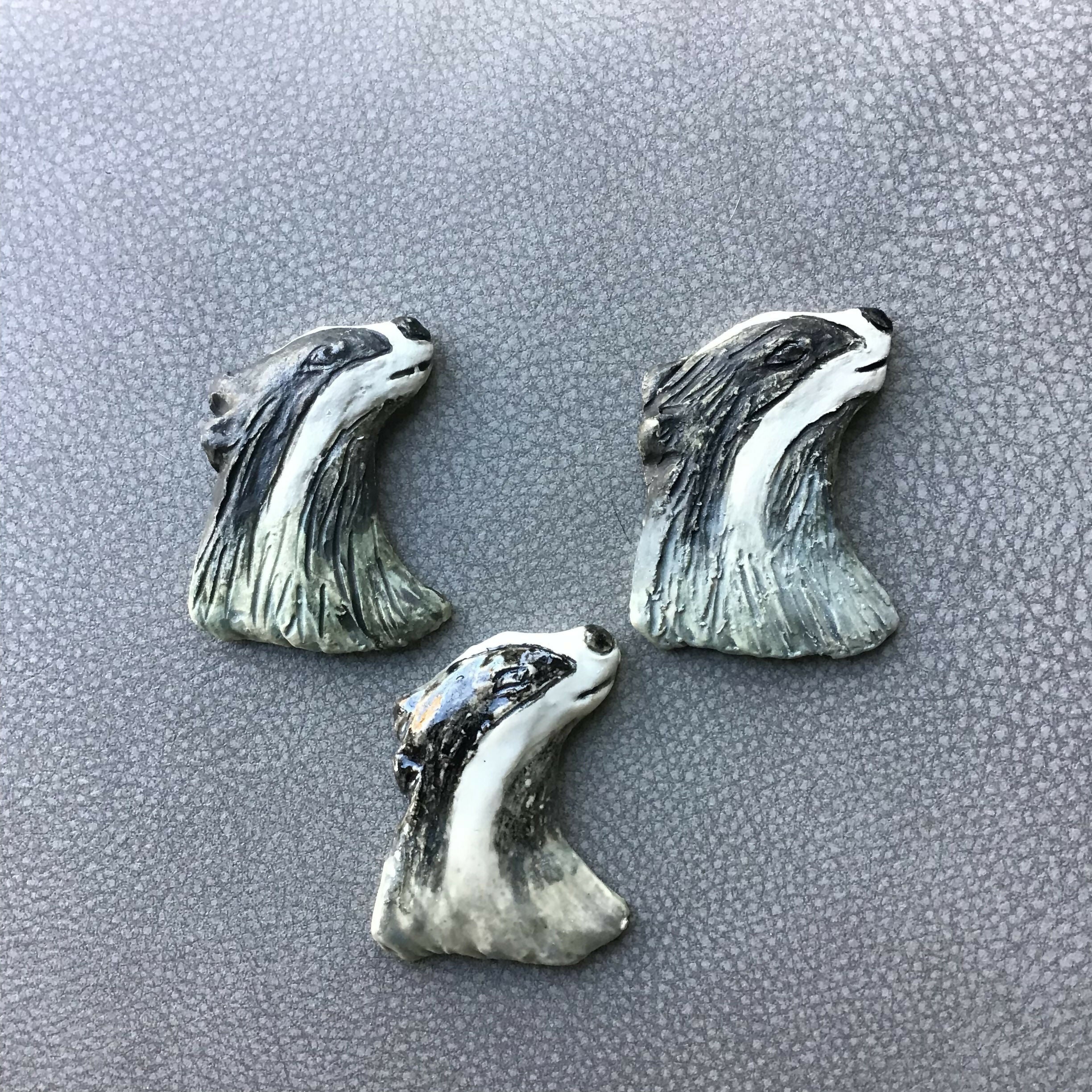 Animal Magnets
