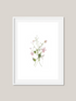 Spring Wildflowers 6 Art Print