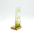Dill Med Plinth