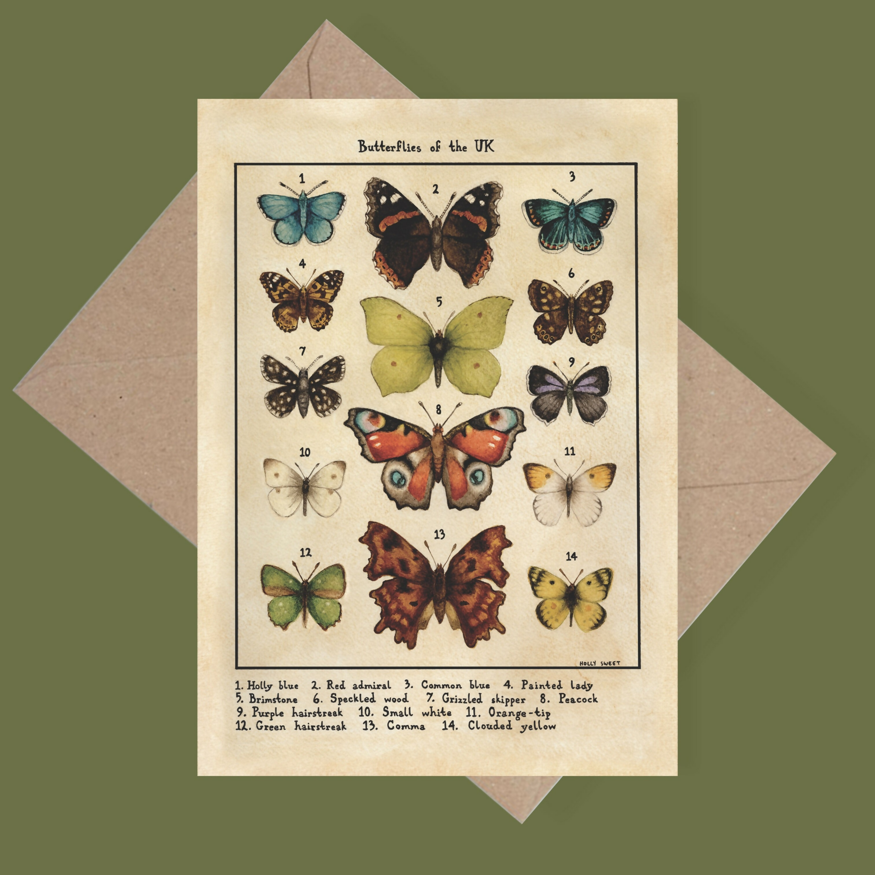 Butterflies Of The UK Greetings Card
