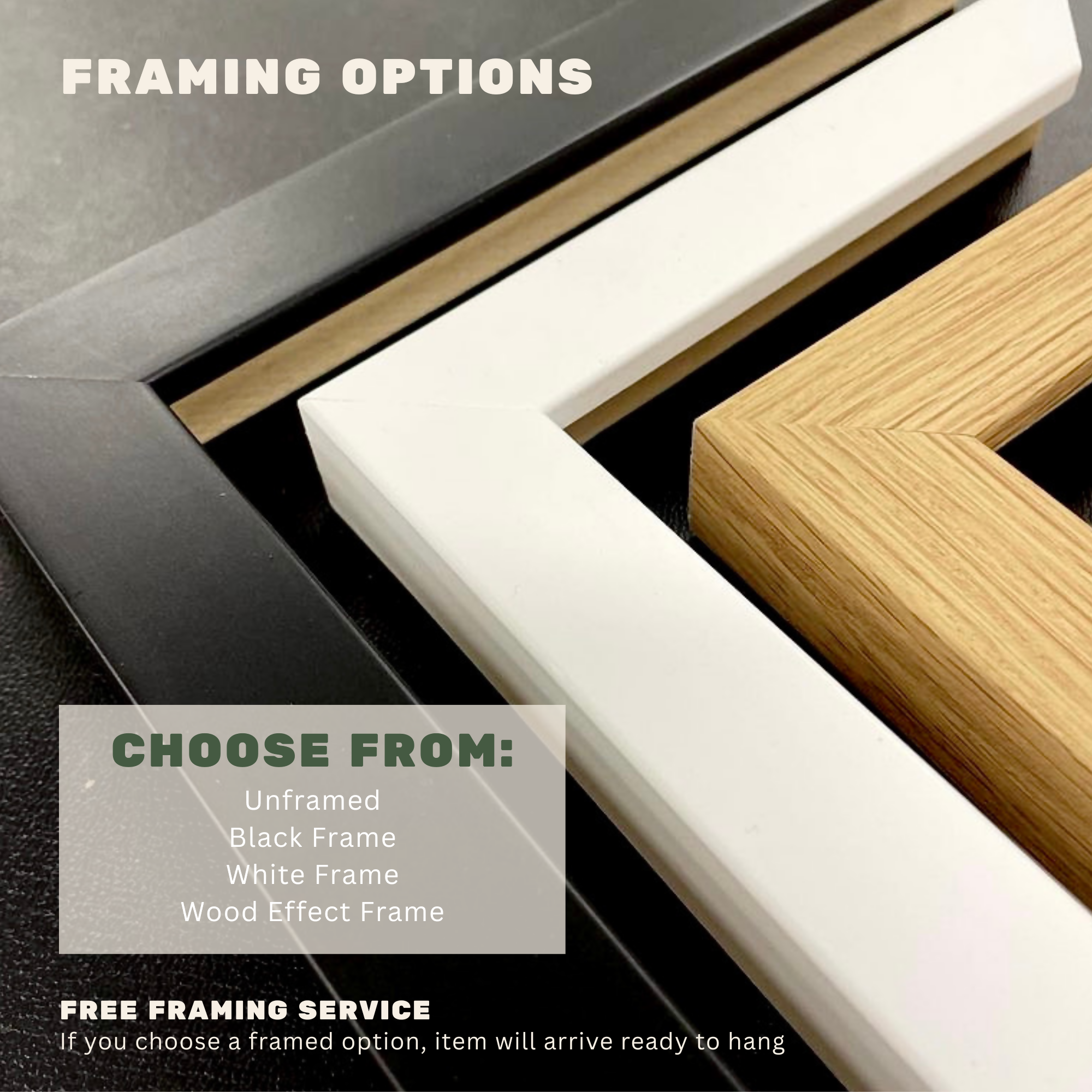 Northerner Panoramic Art Print