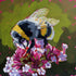 Bee Among the Petals - Original Acrylic Painting
