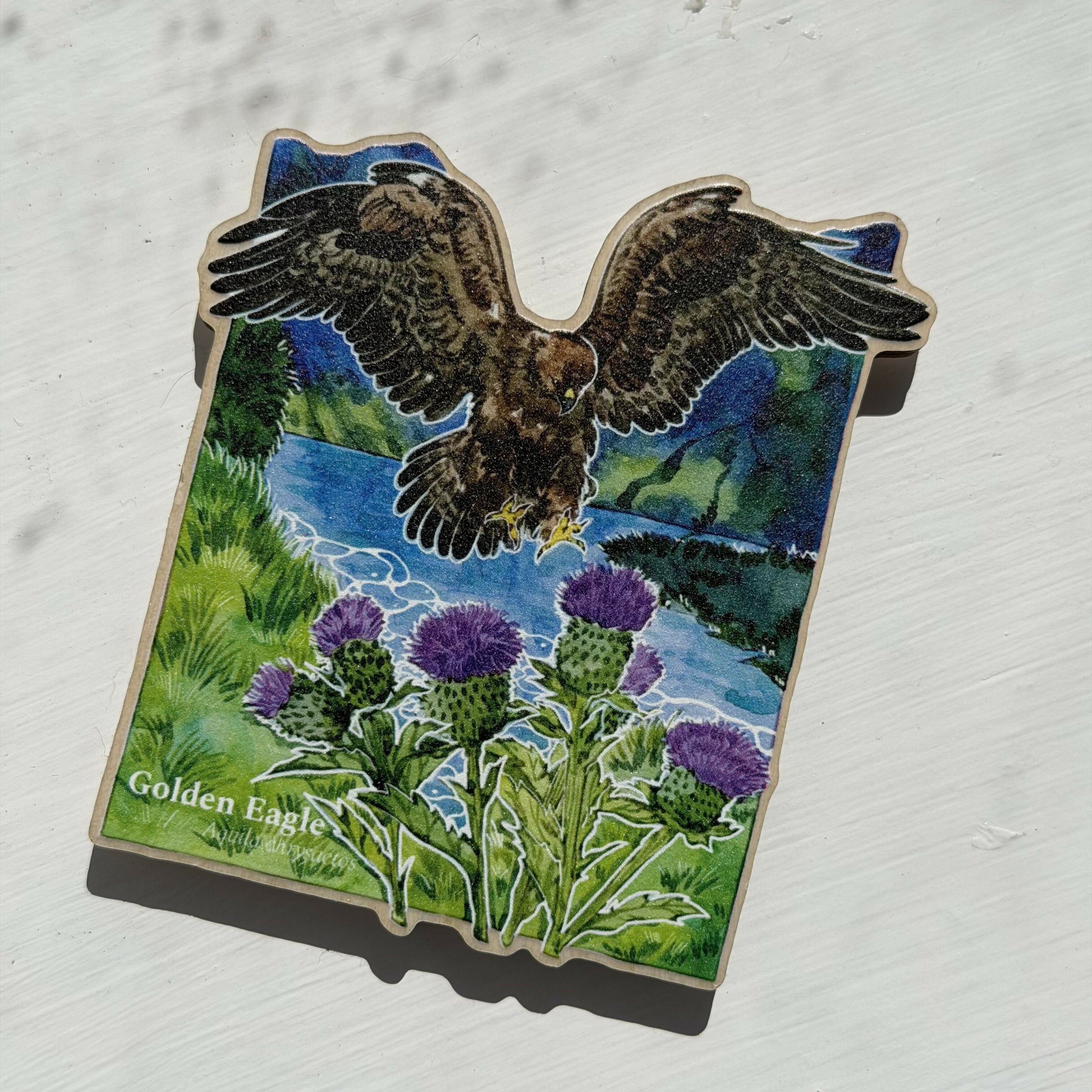 Wooden Magnets-Wild BIRDS PUFFIN,BARN OWL,LTT,GOLDEN EAGLE,OYSTERCATCHER