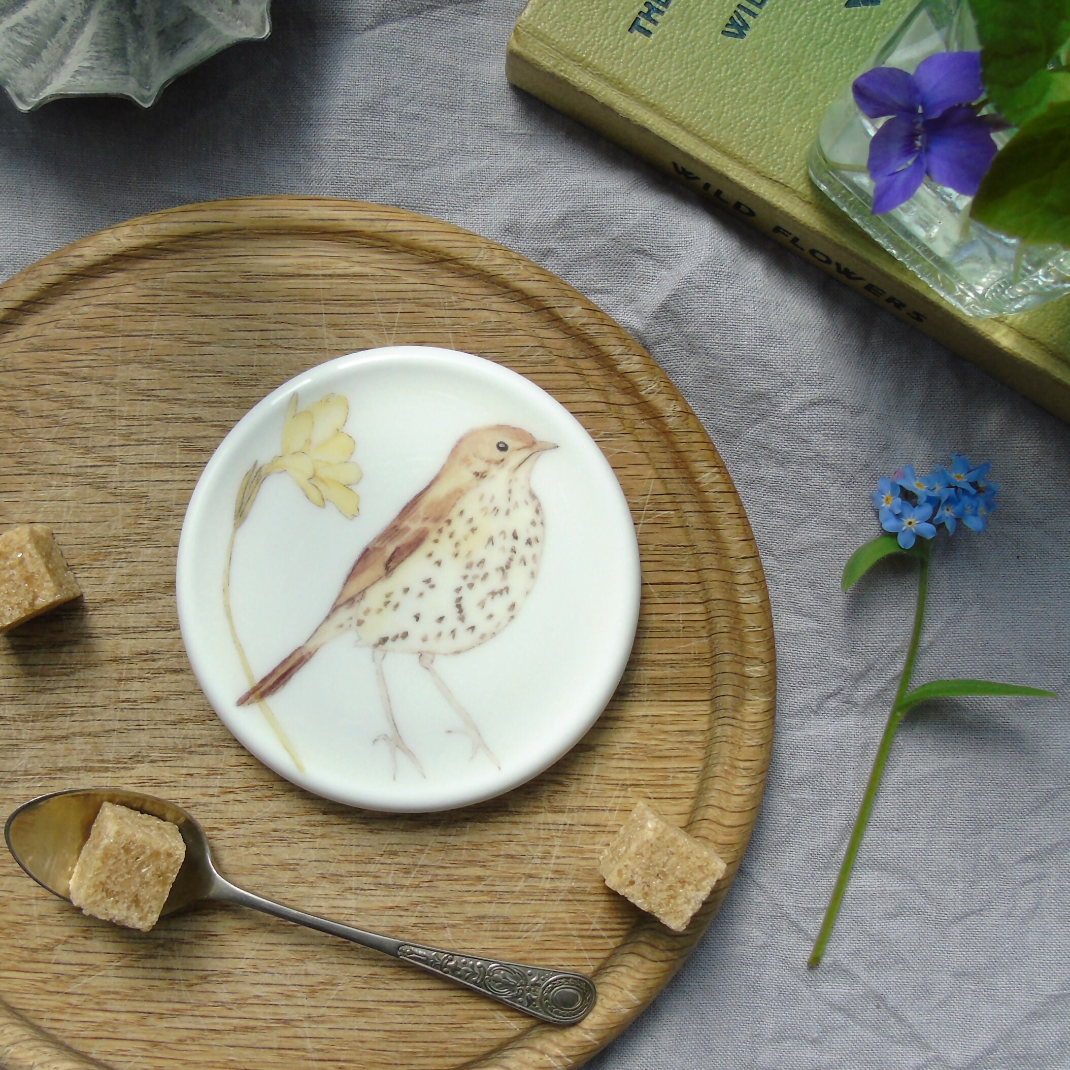 song thrush ceramic coaster
