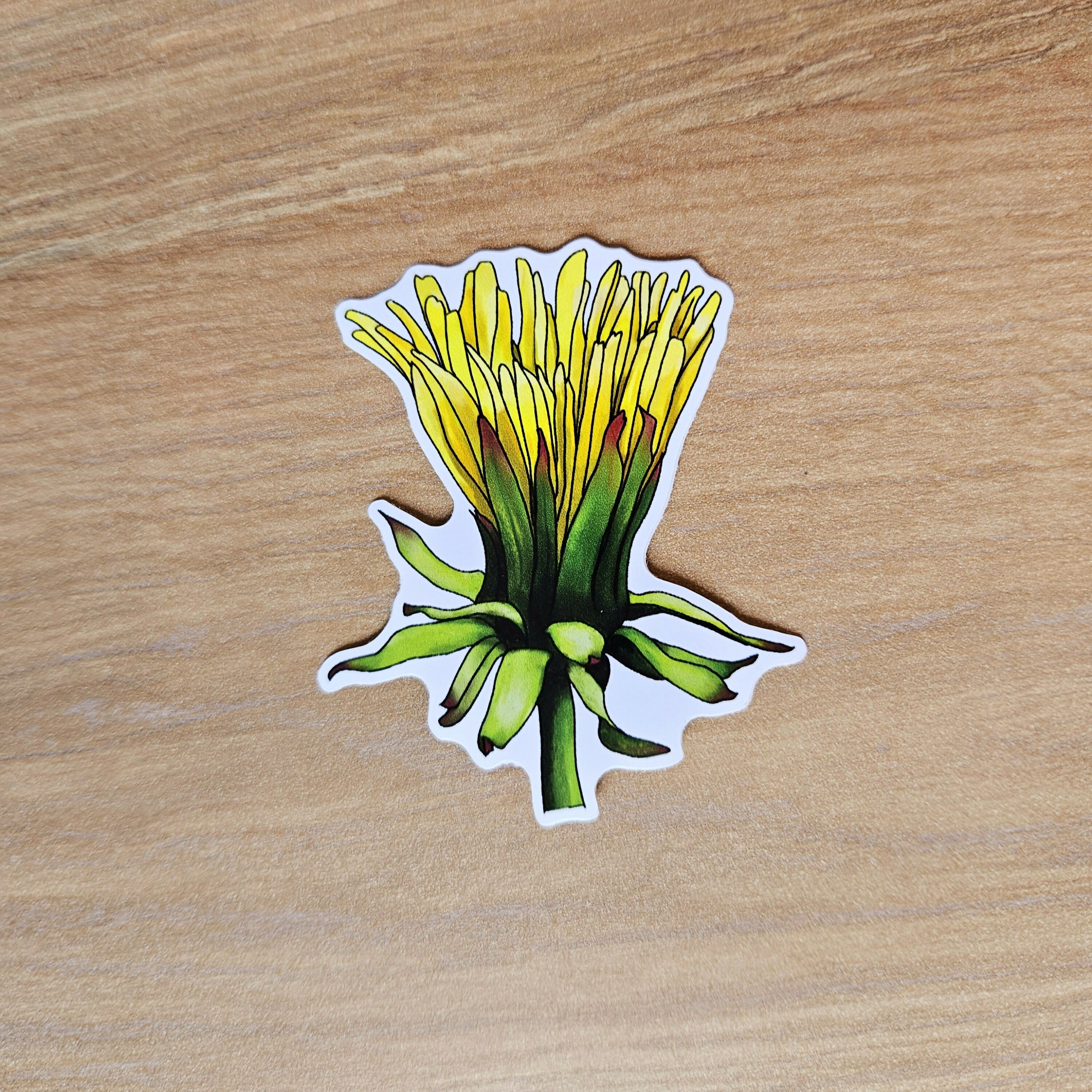 Watercolour Dandelion Flower Vinyl Stickers