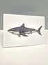 Shark Greeting Card
