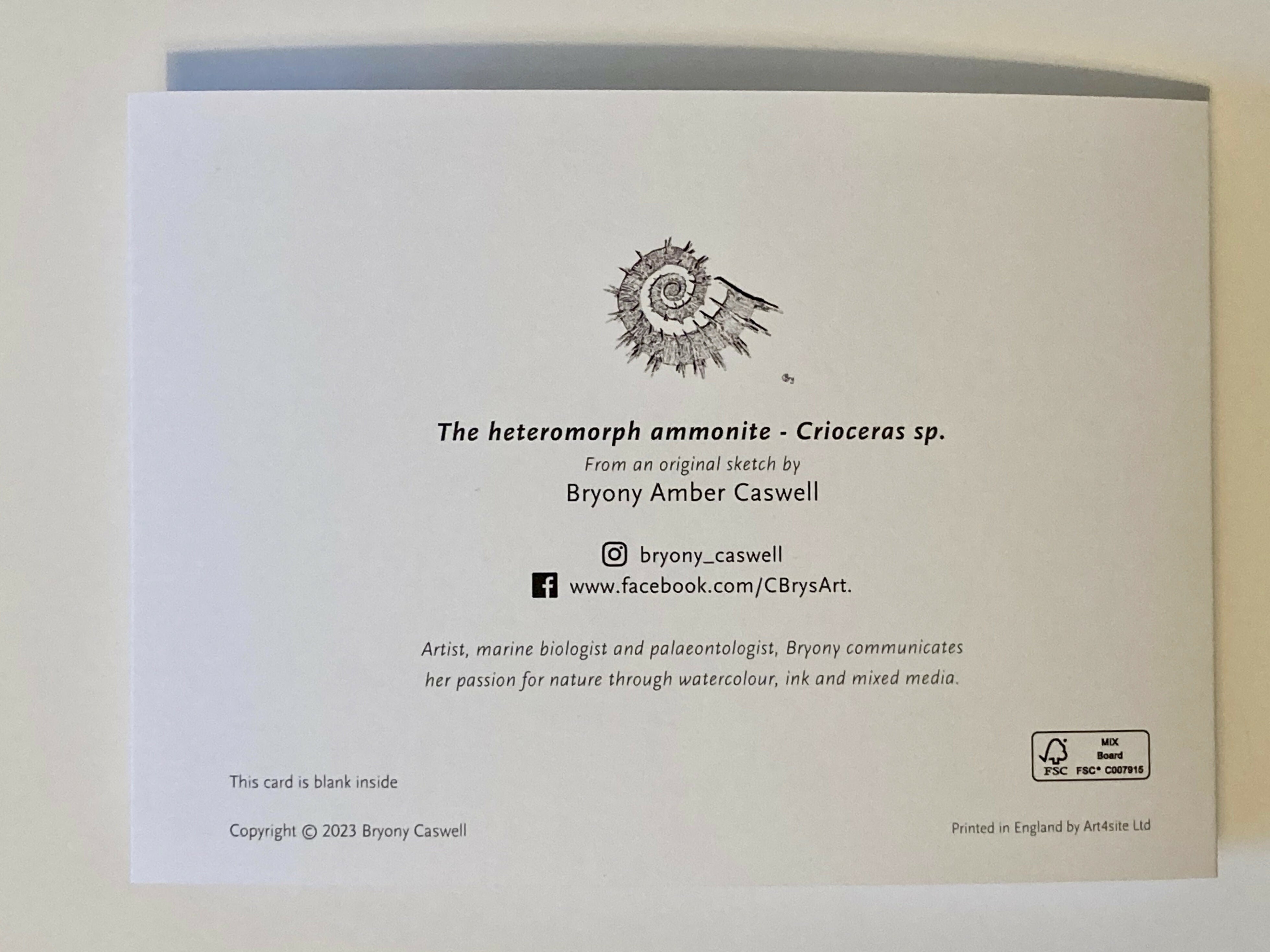 Ammonite - Greetings Card