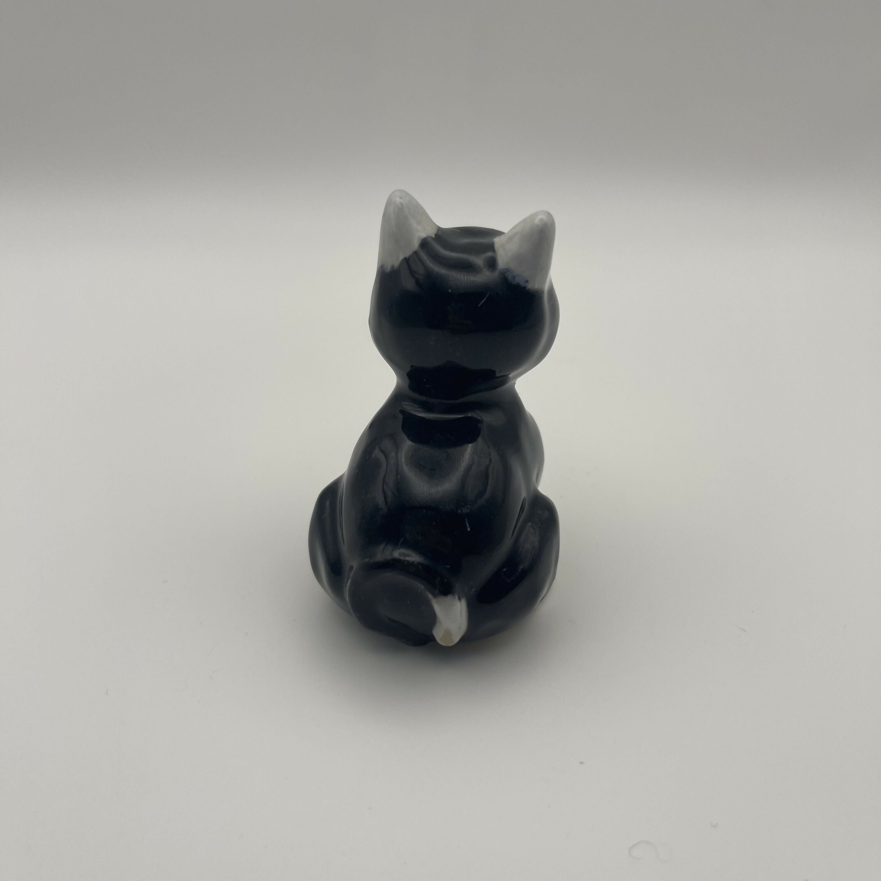Black And White Cat