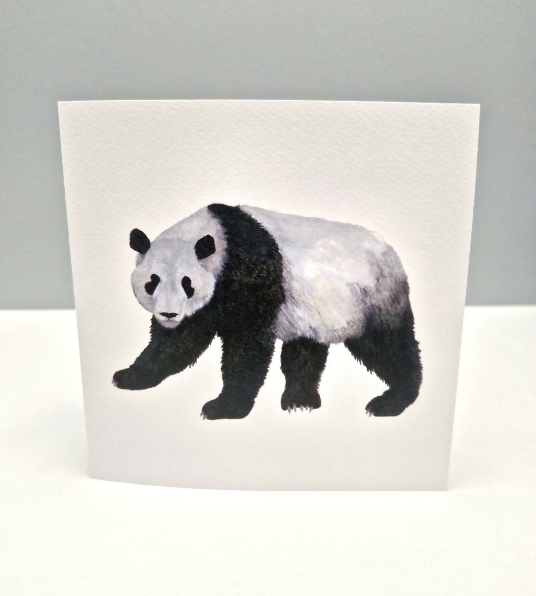 Panda Greeting Card