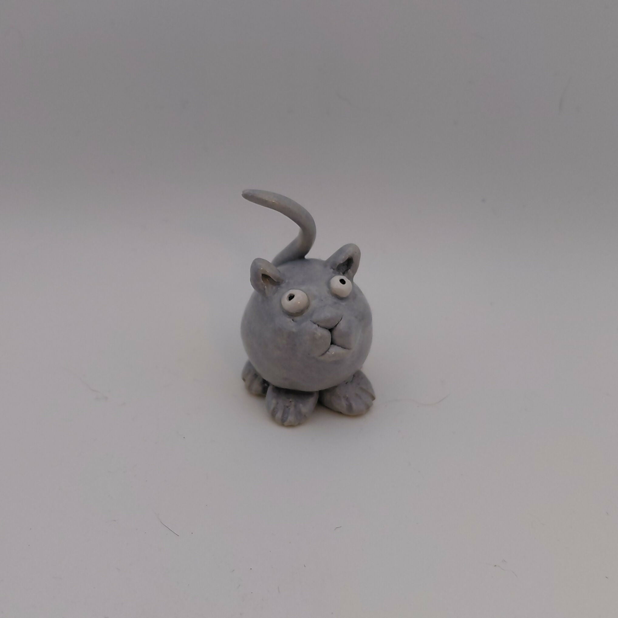Moonbutton cat