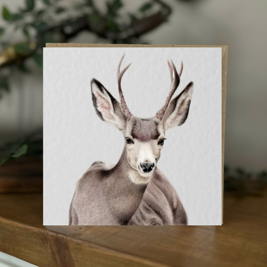 Mule Deer Greeting Card – Wildlife Art Card – Handmade Blank Card