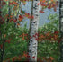 LANDSCAPE FRAMED PRINT 7x5in